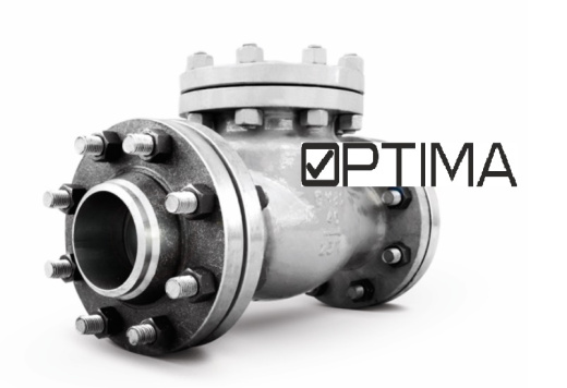 Клапан обратный 19с53нж Ру40 Ду200